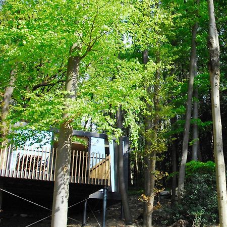 Gite Des Bois De Spa Exterior photo